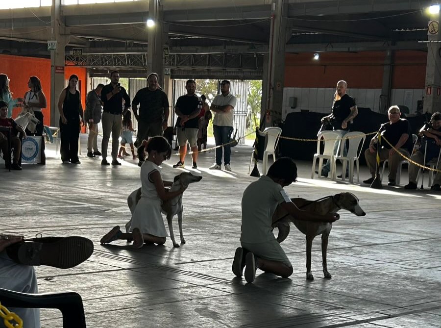 TRAMANDAÍ RECEBEU UM DOS MAIORES EVENTOS CINÓFILOS DO LITORAL NORTE! 
