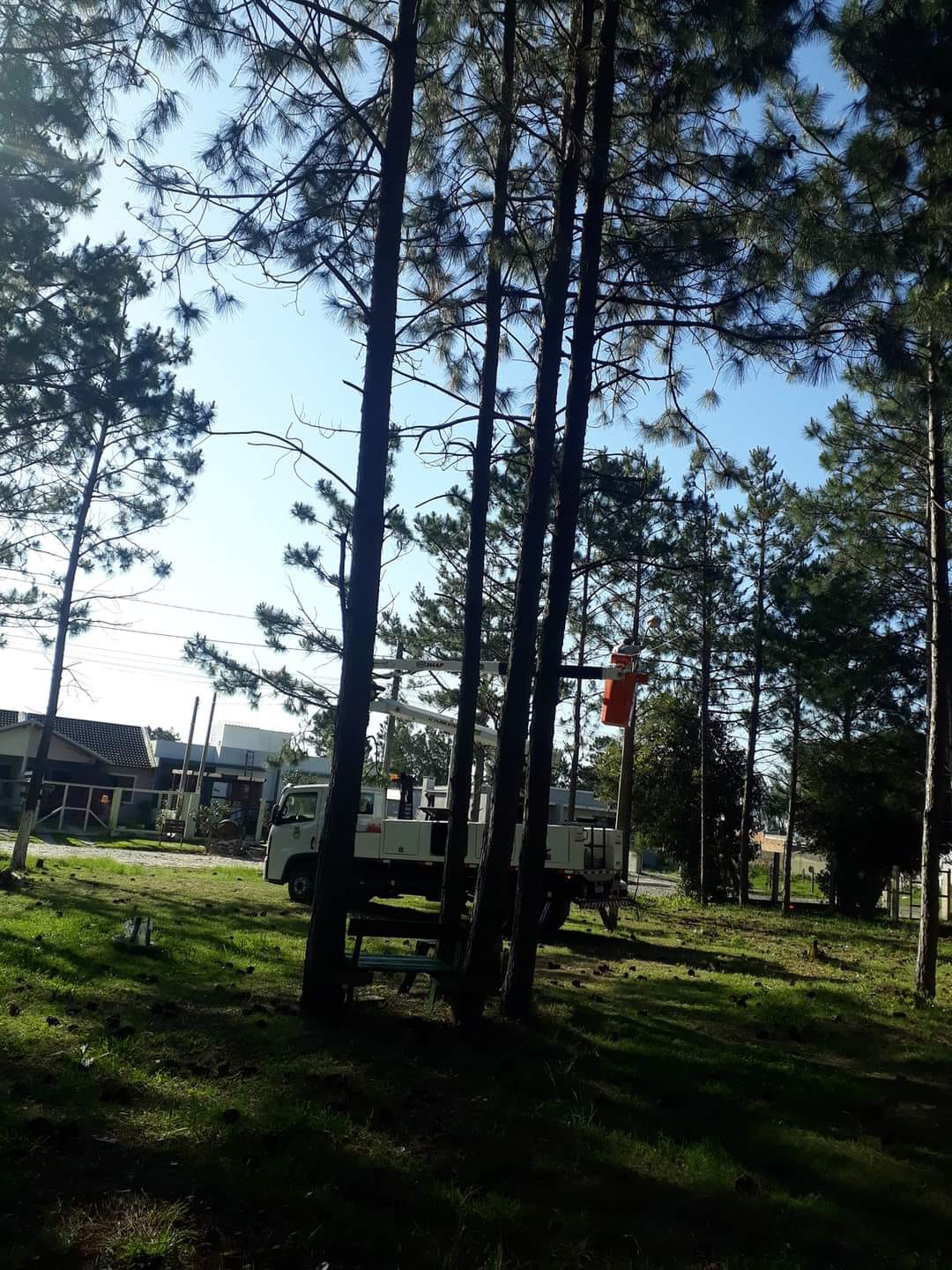 Equipe da elétrica realiza manutenção preventiva na iluminação pública.