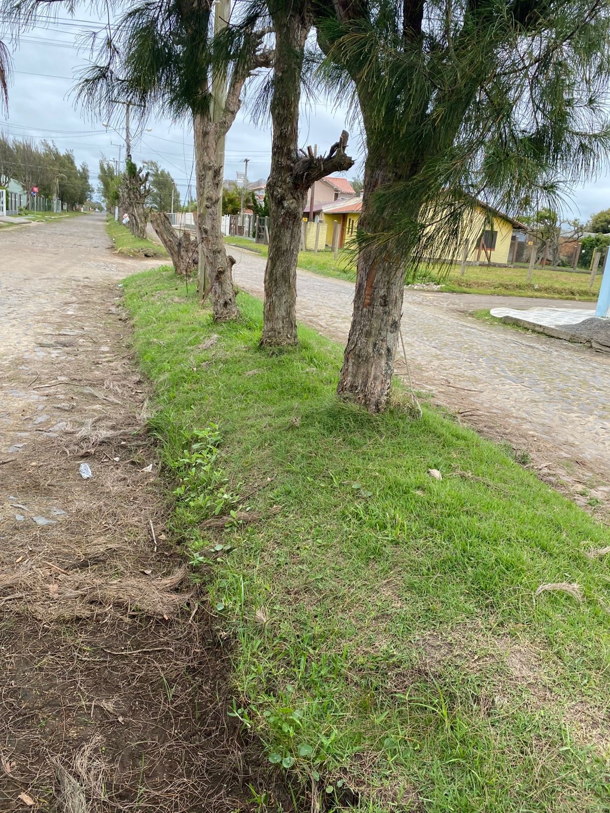 A PREFEITURA DE TRAMANDAÍ SEGUE TRABALHANDO TODOS OS DIAS PARA MANTER NOSSOS BAIRROS LIMPOS, ORGANIZADOS E BEM CUIDADOS!
