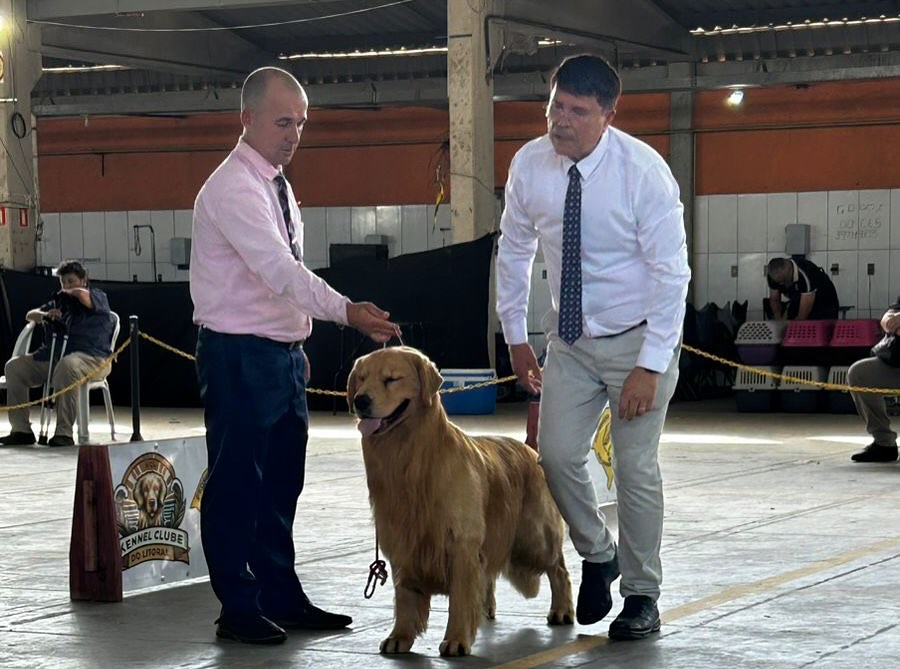 TRAMANDAÍ RECEBEU UM DOS MAIORES EVENTOS CINÓFILOS DO LITORAL NORTE! 