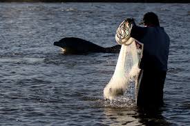 A Secretaria de Pesca e Agricultura de Tramandaí passa a integrar o projeto de mapeamento dos usos e atividades no espaço marinho, iniciativa realizada pelo Instituto Ambientes em Redes em parceria com o LAGECI e com apoio da Ocean Energy Pathway.