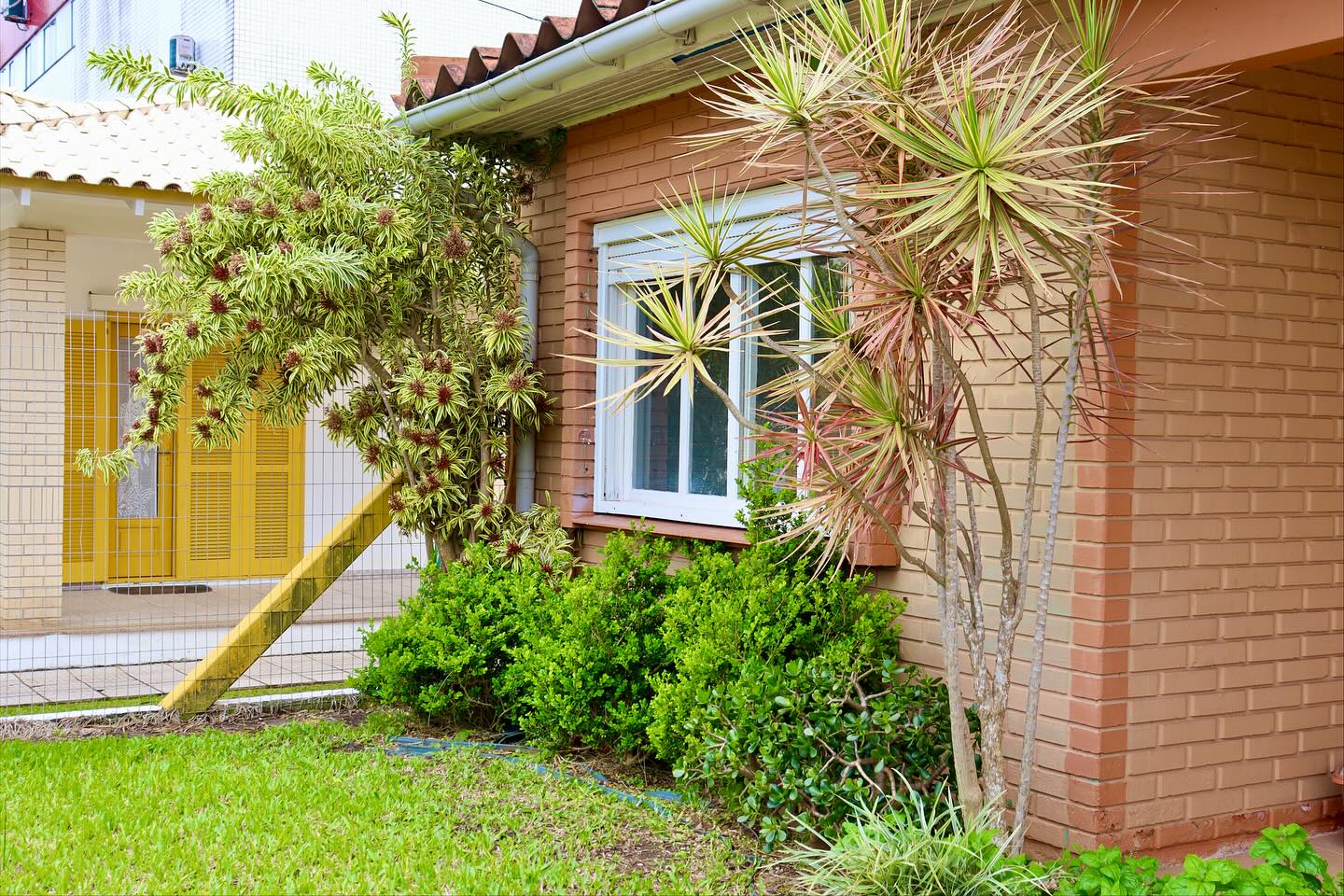 TRAMANDAÍ AVANÇA NO CUIDADO COM A SAÚDE MENTAL!