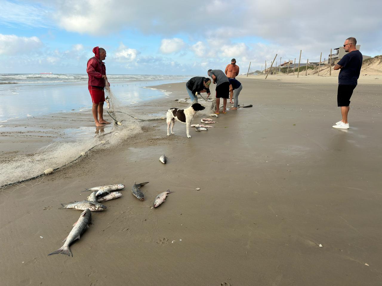 Grupo de Trabalho intensifica monitoramento da pesca em Tramandaí e reforça compromisso com a sustentabilidade