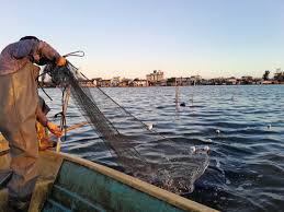 Tramandaí participou, na tarde do dia 17, do Fórum da Pesca realizado em Balneário Pinhal, reforçando seu compromisso com o fortalecimento do setor pesqueiro e o diálogo entre as instituições.