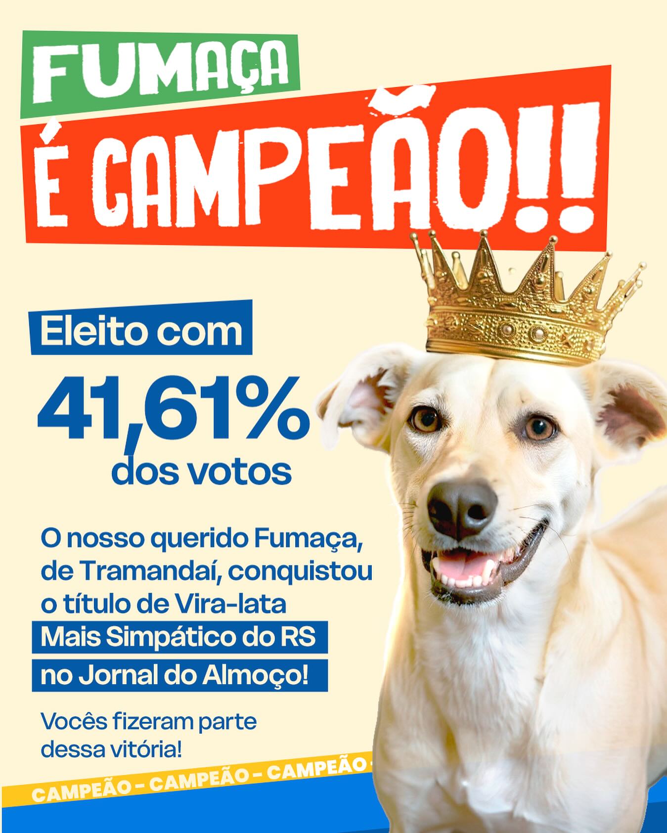 ELE É O CARA! 