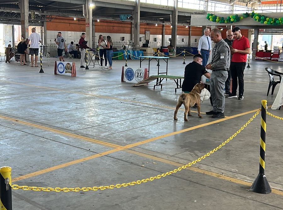 TRAMANDAÍ RECEBEU UM DOS MAIORES EVENTOS CINÓFILOS DO LITORAL NORTE! 