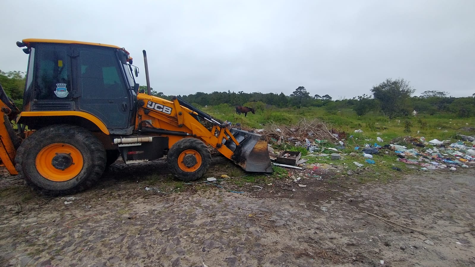 Secretaria da Zona Sul efetua limpeza da Avenida Perimetral 