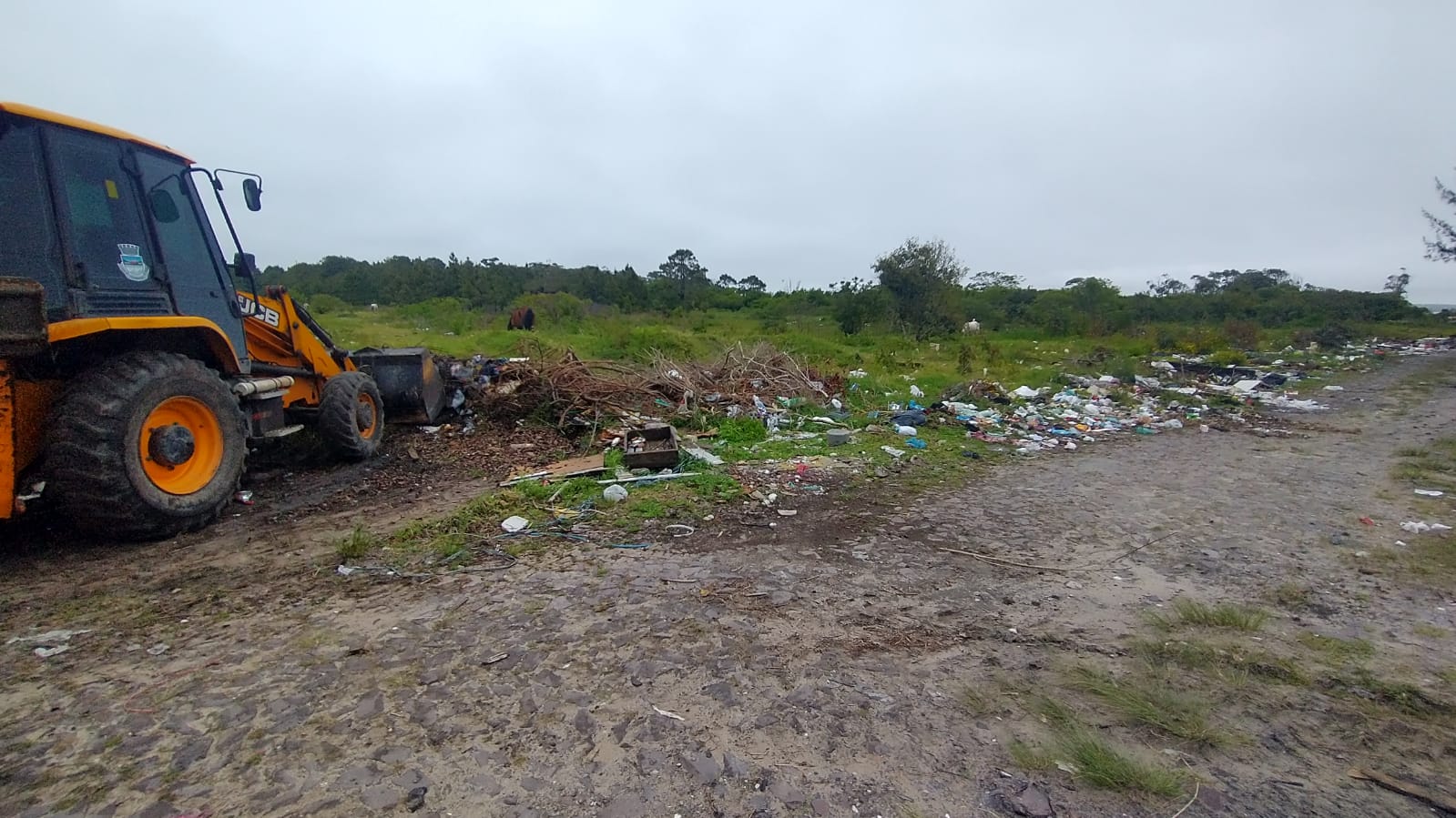 Secretaria da Zona Sul efetua limpeza da Avenida Perimetral 