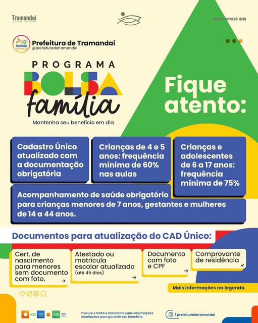 As condicionalidades do Bolsa Família são compromissos assumidos entre o Governo Federal e as famílias beneficiárias para garantir que crianças, adolescentes e gestantes tenham acesso aos seus direitos básicos de saúde e educação.