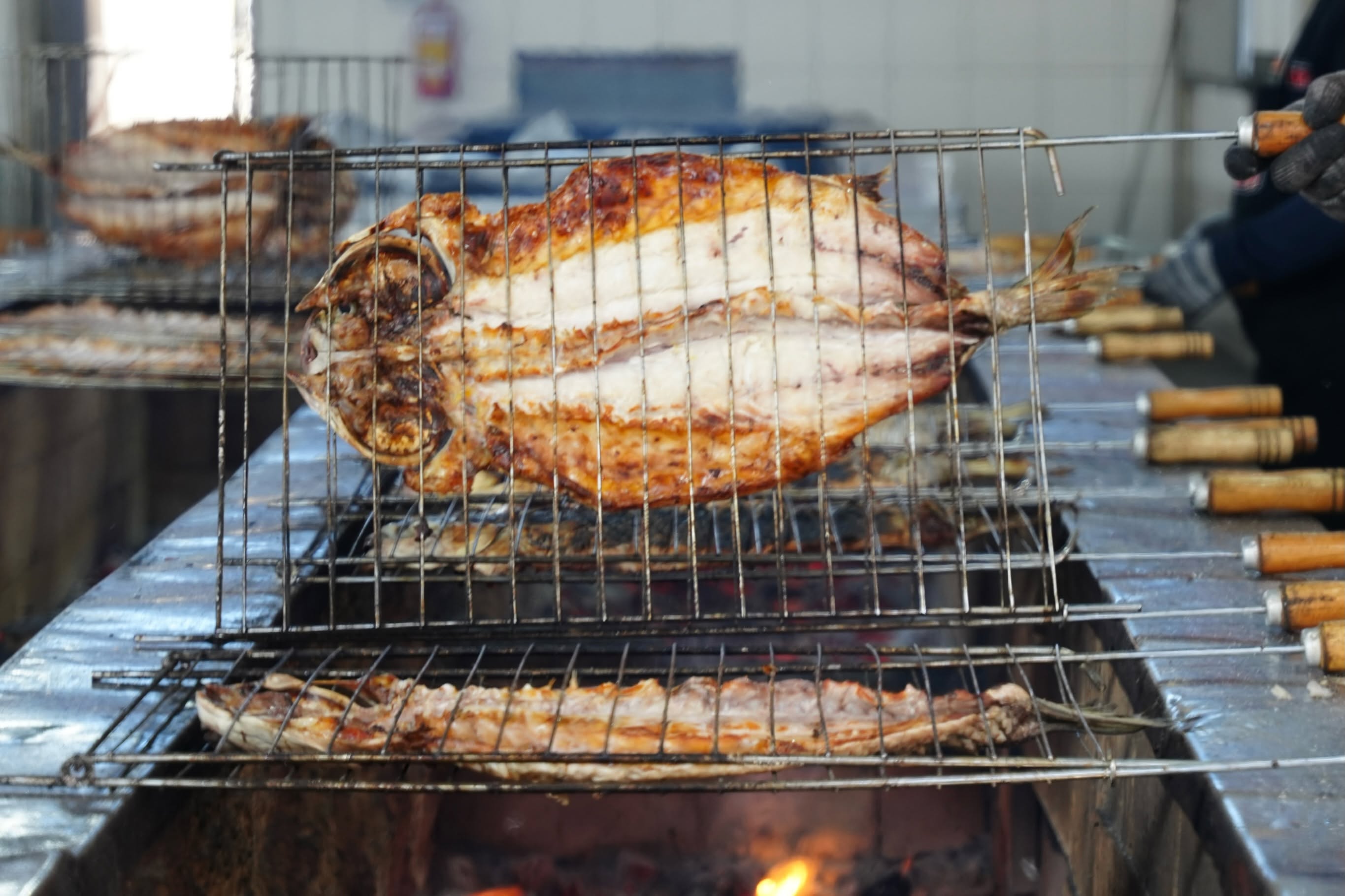 Hoje é dia de relembrar uma das maiores tradições da nossa cidade e a grande estrela da Festa Nacional do Peixe: a nossa irresistível tainha assada na brasa! 


