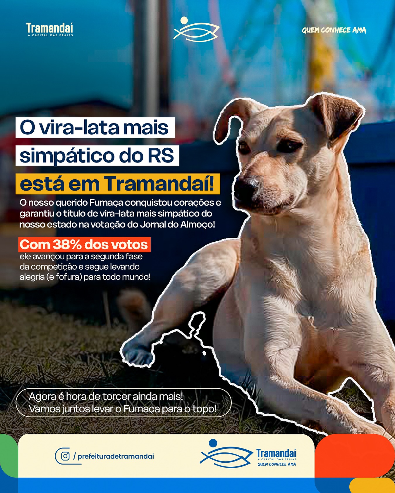 FUMAÇA LEVA TRAMANDAÍ AO TOPO NA DISPUTA DE VIRA-LATA MAIS SIMPÁTICO DO RS! 