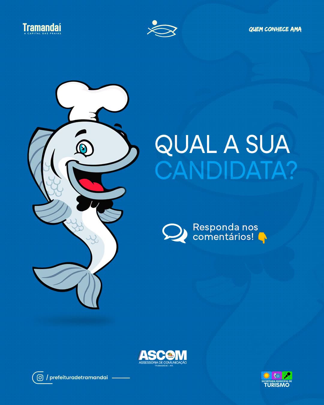 ELAS ESTÃO NA DISPUTA PELA CORTE DA 35ª FESTA NACIONAL DO PEIXE!